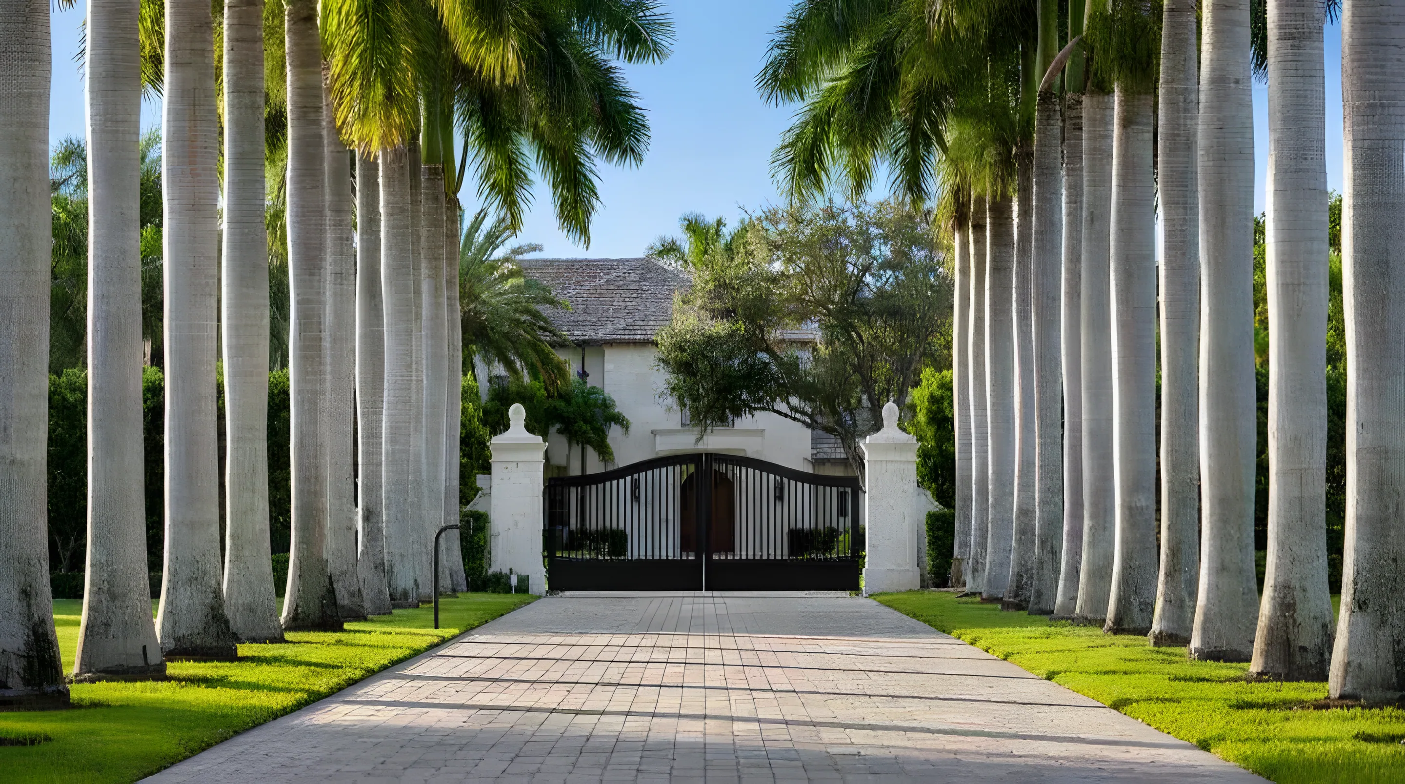 Dual swing driveway gate on a palm-lined entrance